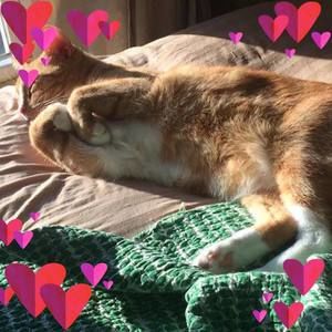 Meet your Posher, Corinna